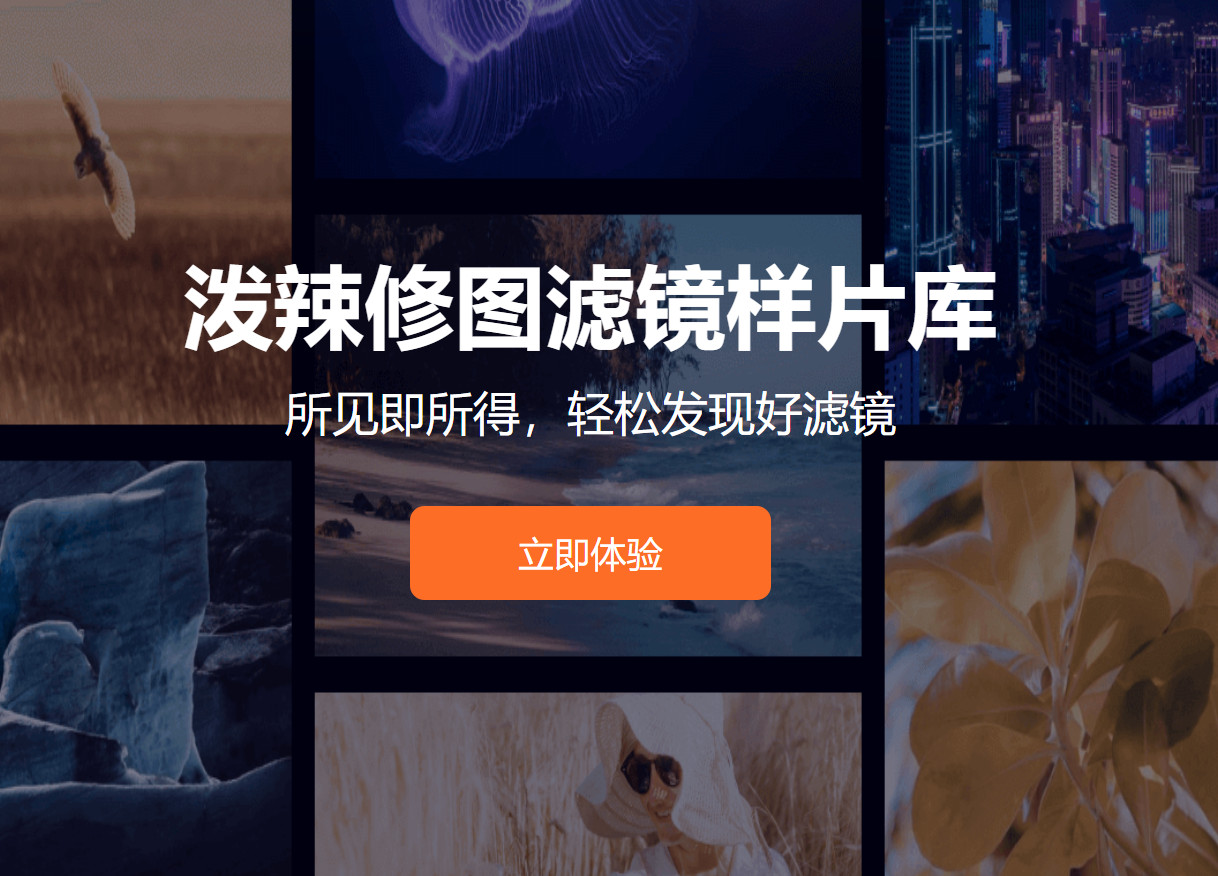 正版泼辣修图 Pro – 永久会员