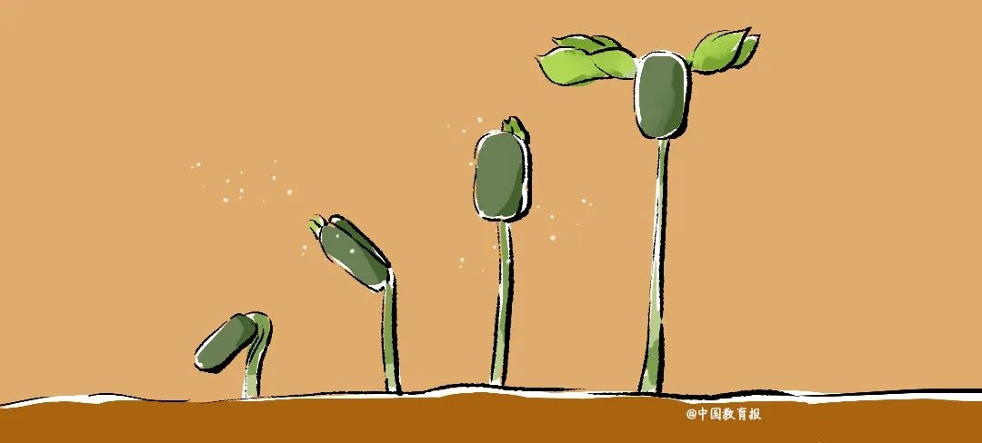 春分至，燕归来，正是人间好时节！快把这些知识讲给孩子吧