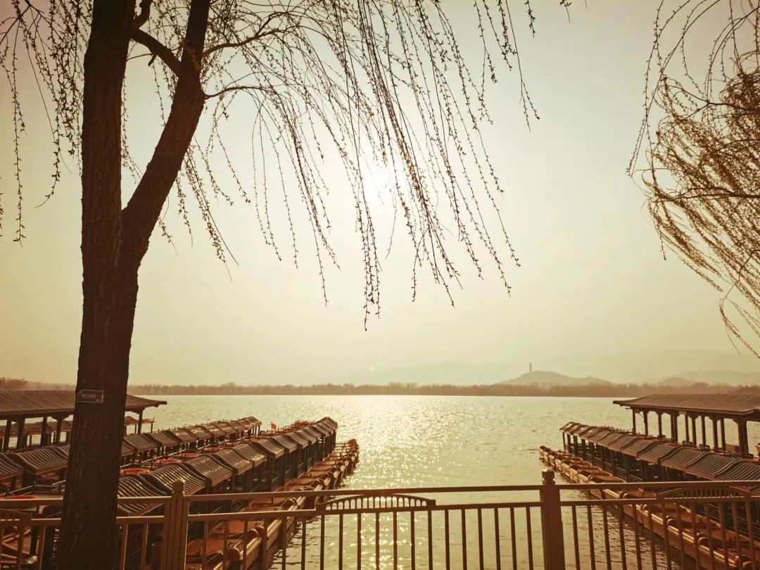 春分至，燕归来，正是人间好时节！快把这些知识讲给孩子吧