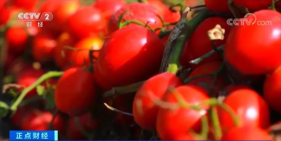 卖爆了!这种中国食品,多国争相购买 卖爆了!这种中国食品,多国争相购买