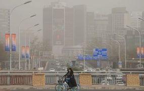 近期还有一次！为何北方植被增加，春季沙尘天气仍偏多？