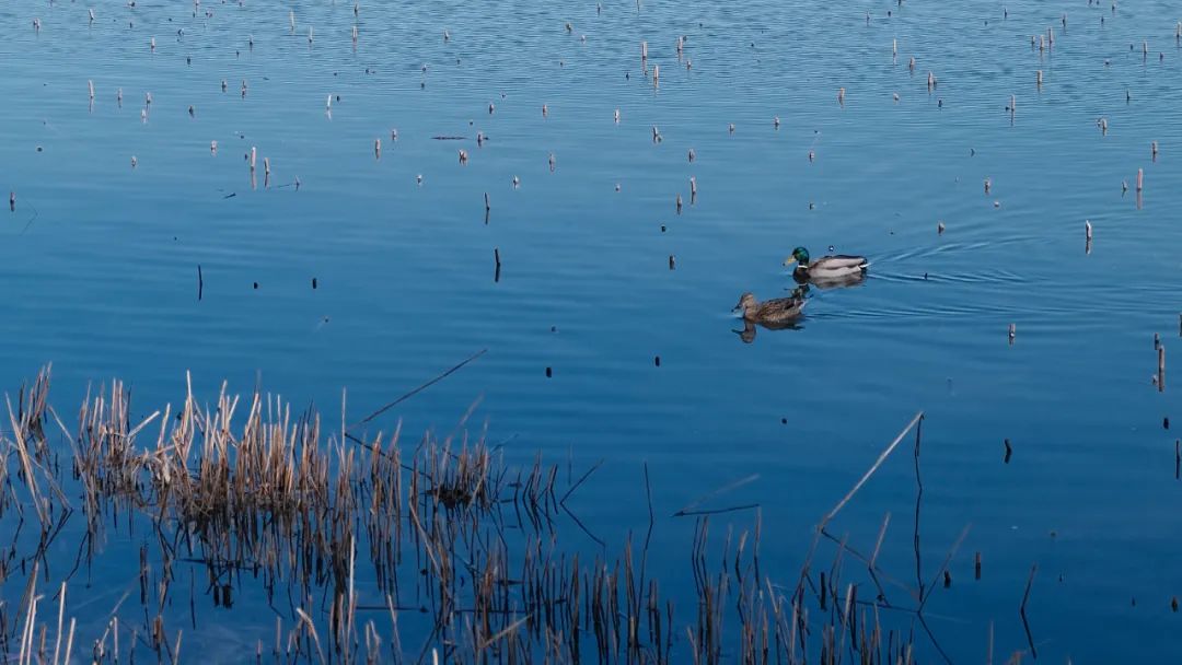 孩子喝水的这5大误区，家长千万注意！｜关注世界水日