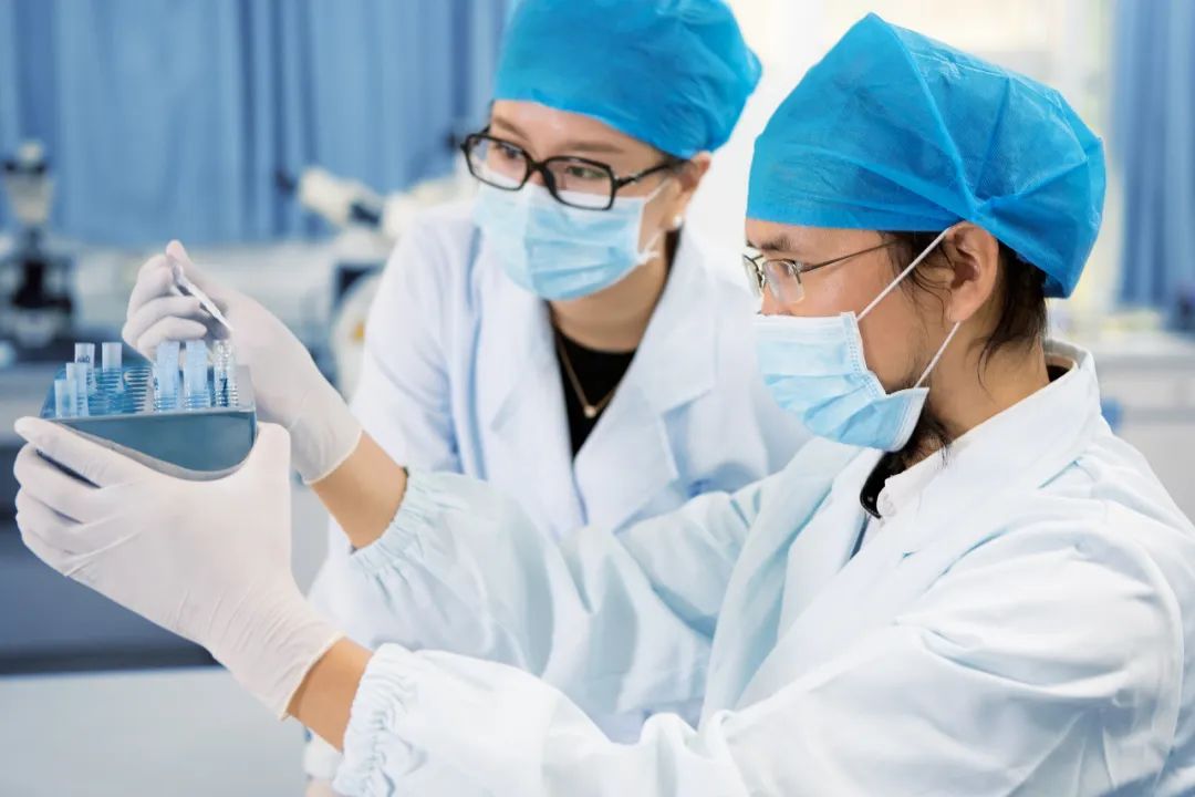 新基石研究员项目：一笔关于梦想、勇气和希望的“风险投资”