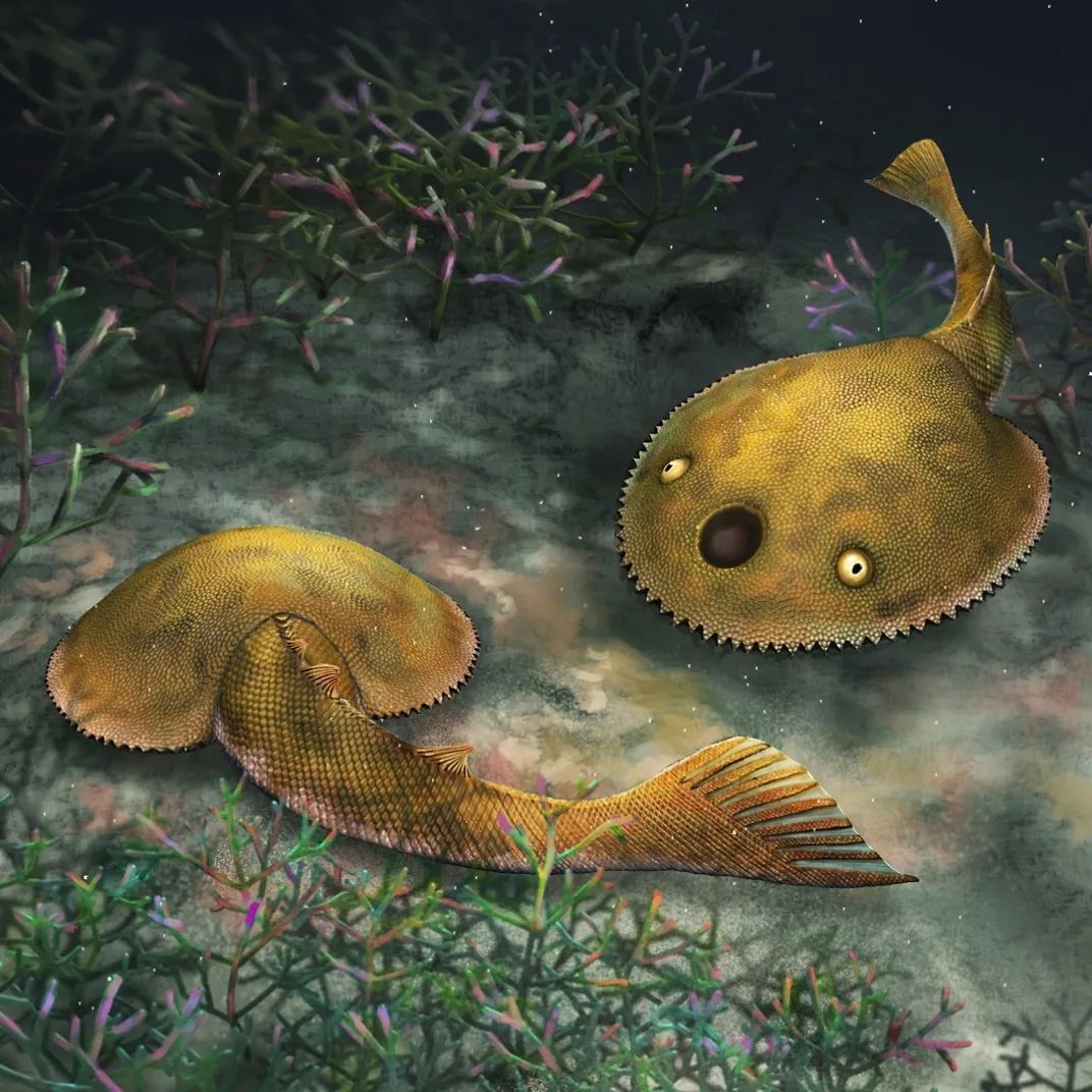 来自4.1亿年前！发现九尾狐甲鱼