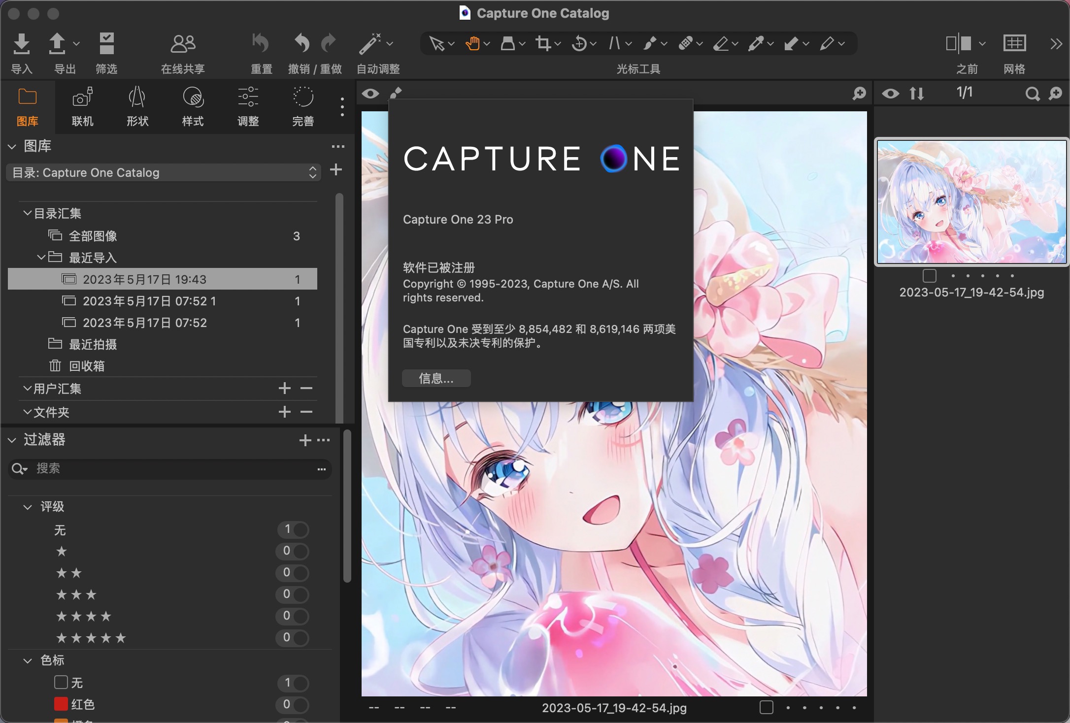 Capture One 23 Pro for mac(RAW图像编辑软件) 16.4.0.48中文激活版