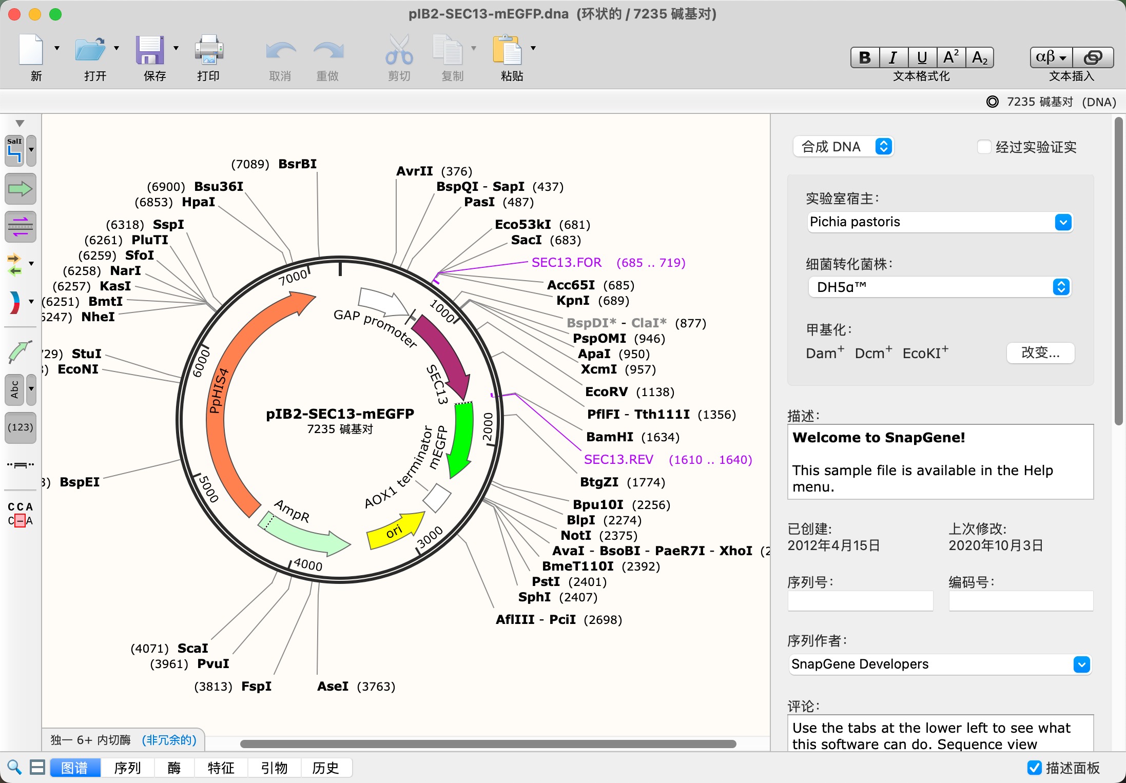 SnapGene for mac(DNA序列生物分析) 5.3.1 中文激活版