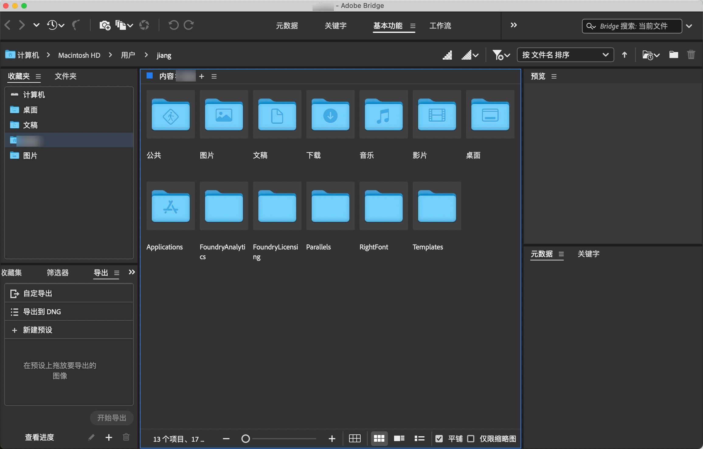 Adobe Bridge 2024 for mac(Br2024)文件管理浏览 14.0.3.200中文永久使用
