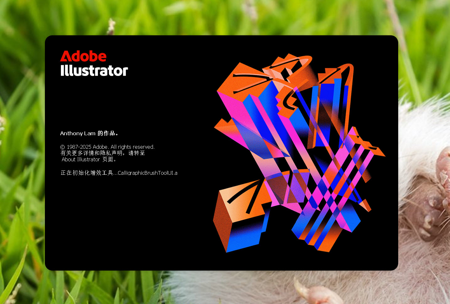Adobe Illustrator 2026 (AI2026) v30.0 (x64) 中文特别版