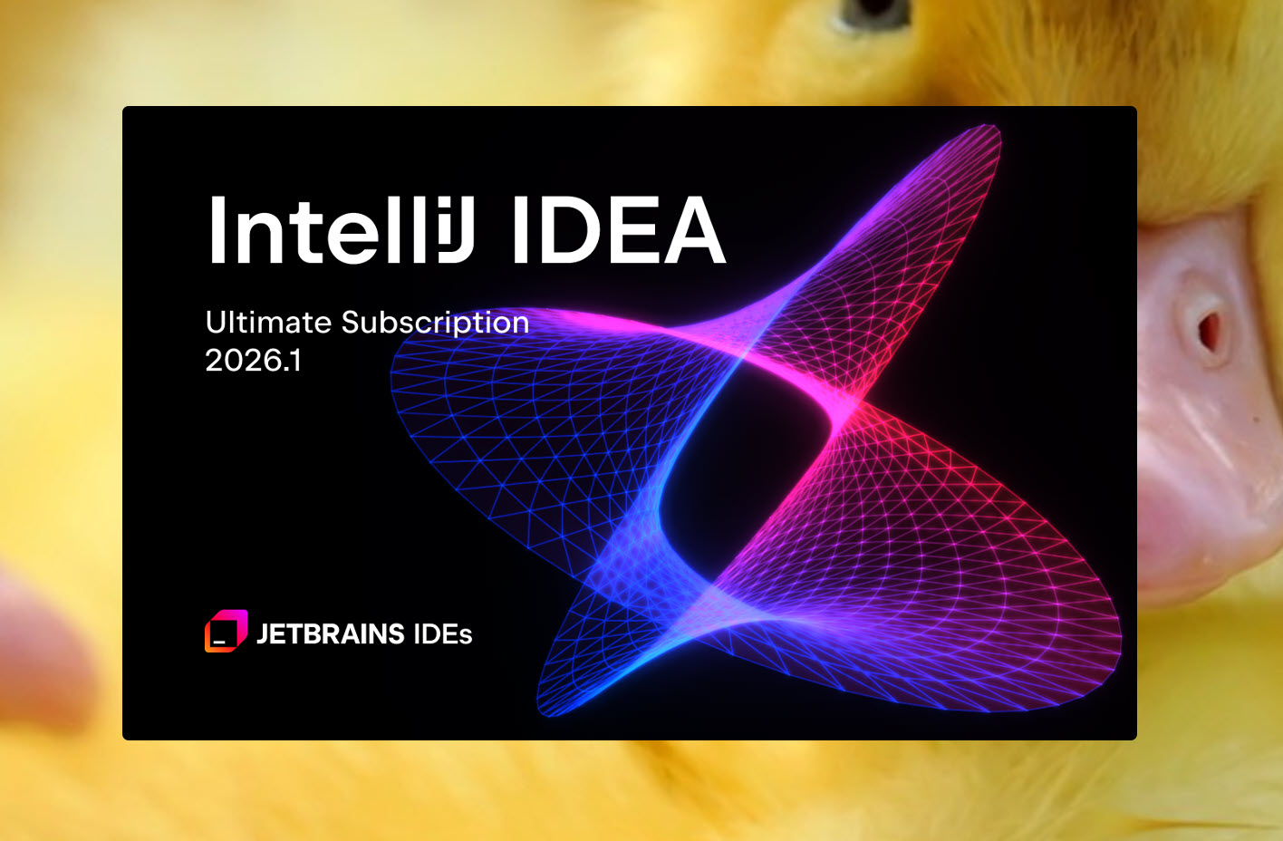 JetBrains IntelliJ IDEA 2026(Java集成开发环境) v2026.1 中文激活版